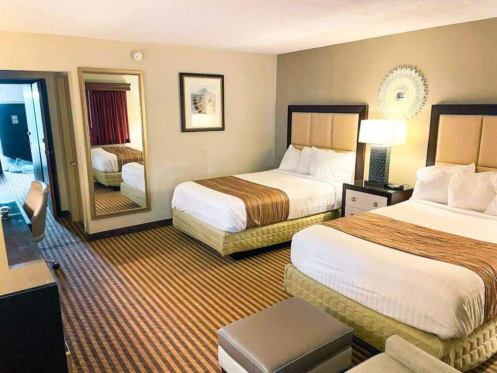 Eleven Boutique Hotel photo 16