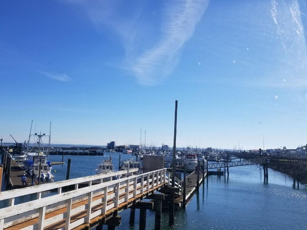 Islander Westport photo 65