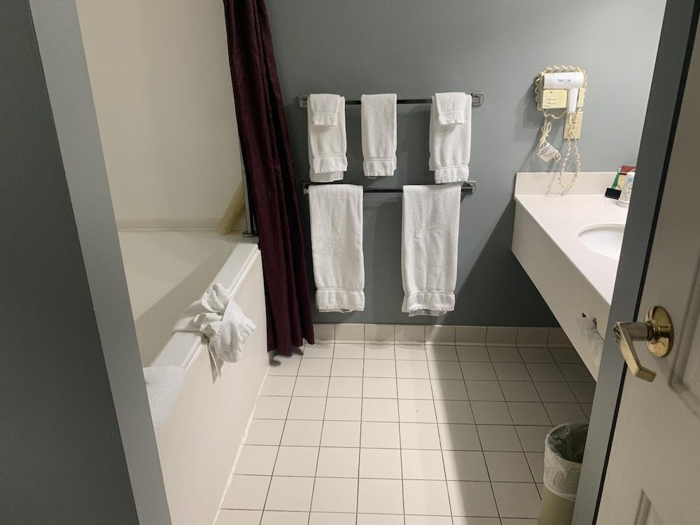 French Quarter Inn photo 34