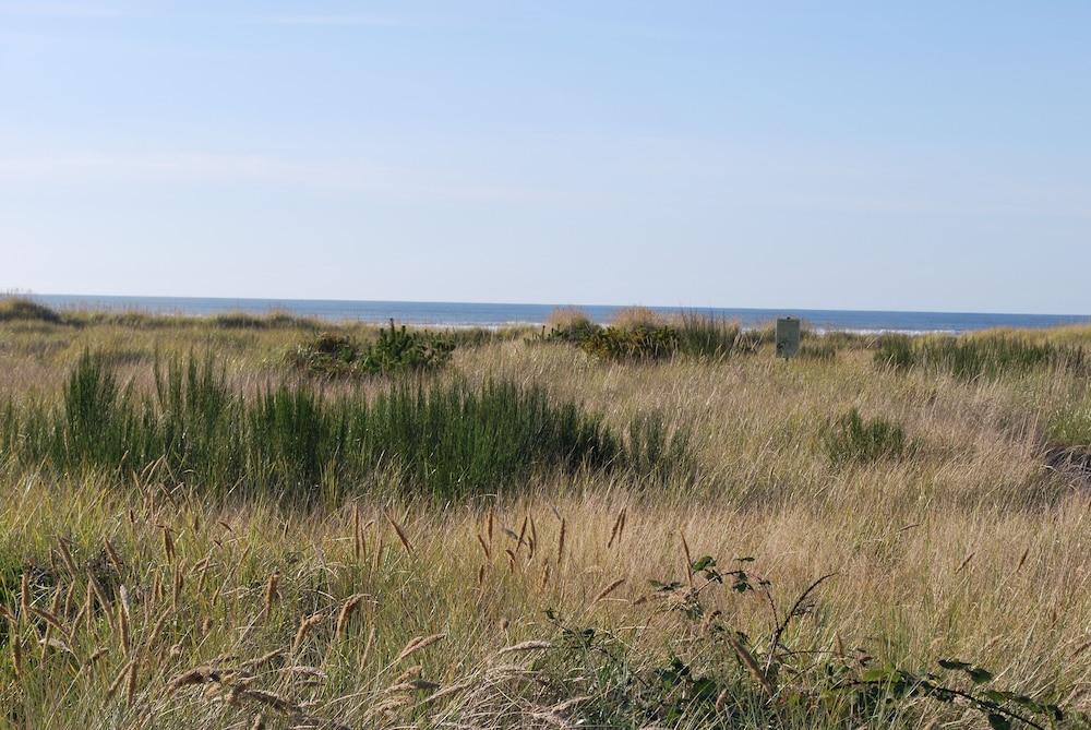 Inn at the Shore photo 58