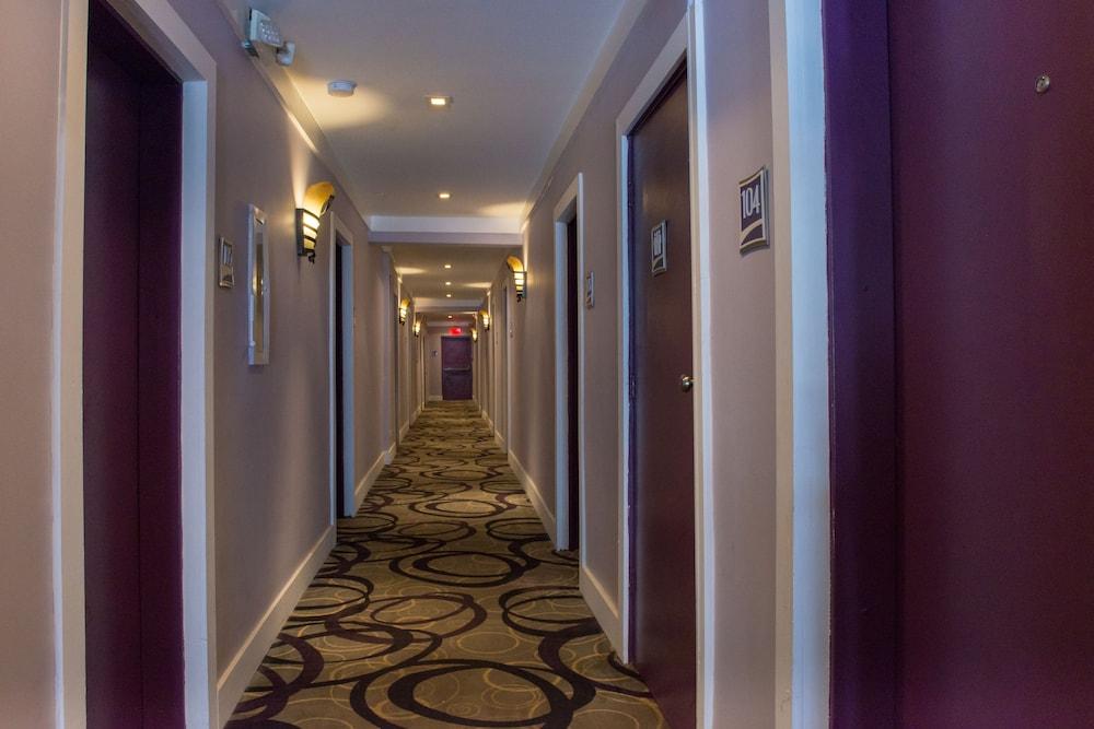 Hotel Shelley photo 10