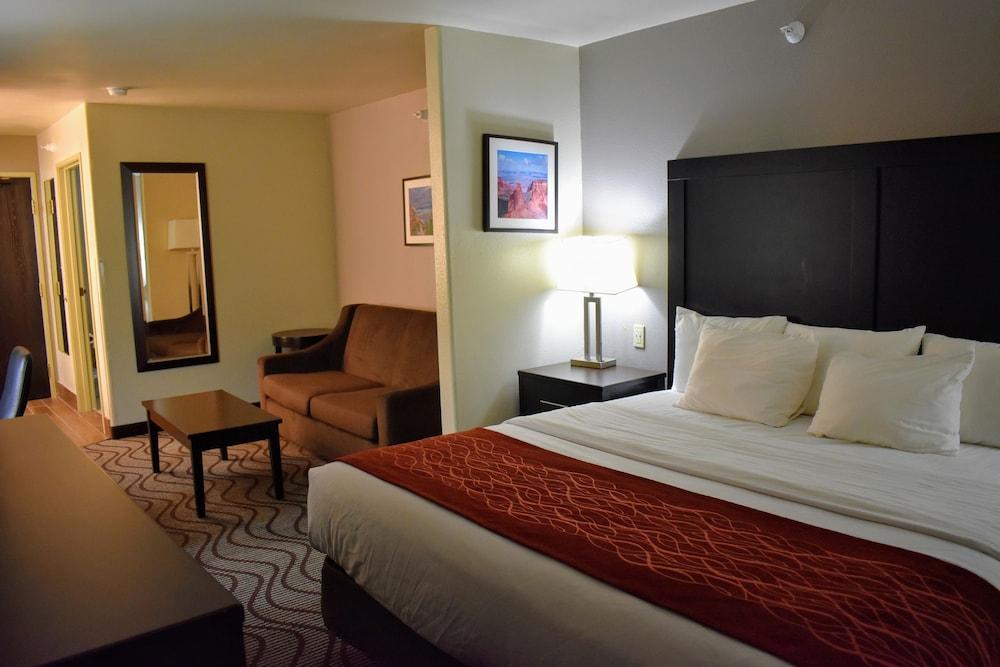 Comfort Inn & Suites Fruita - Grand Junction photo 9