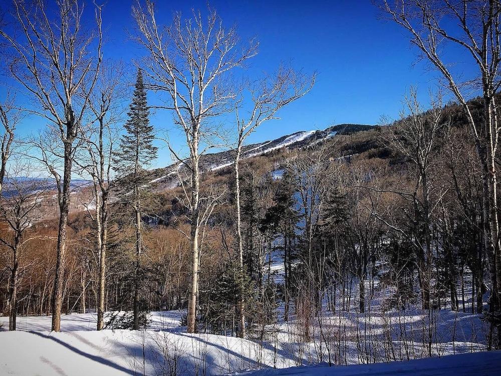 Summit Lodge photo 44