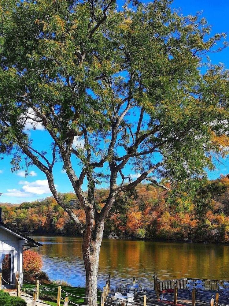 Paddle Wheel Inn photo 23