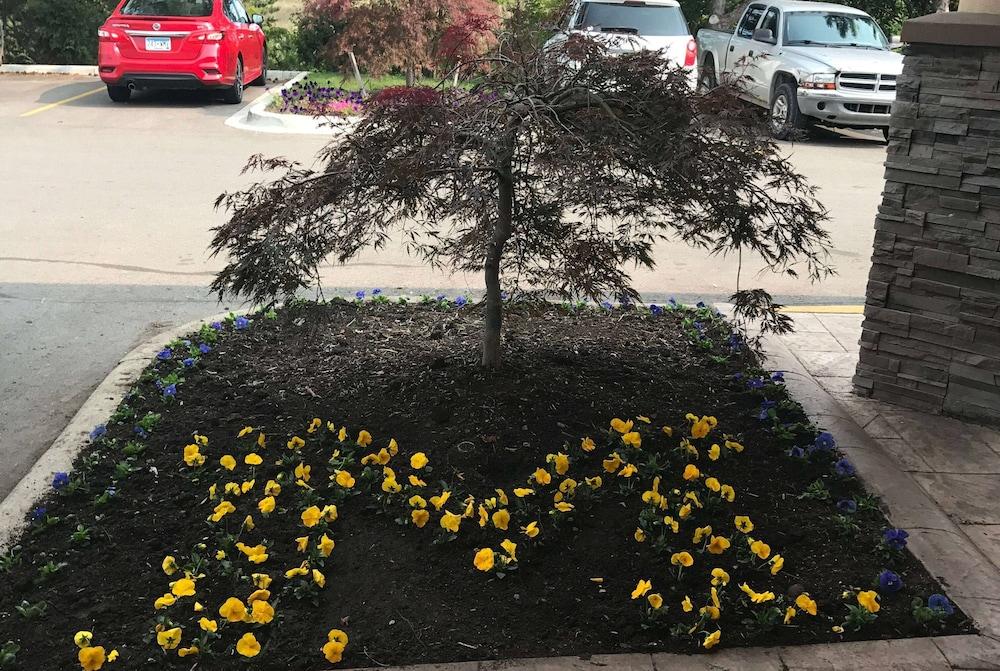 Wyndham Garden Ann Arbor photo 12