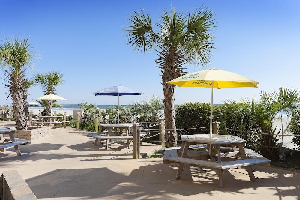 Sands Ocean Club Resort photo 23