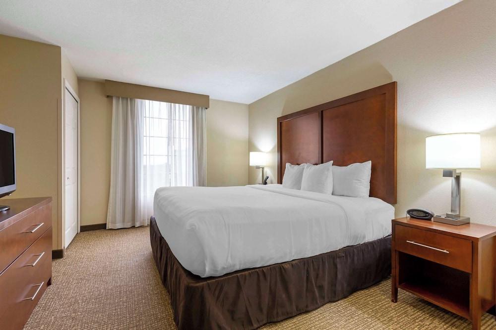 Comfort Suites Near Potomac Mills photo 13