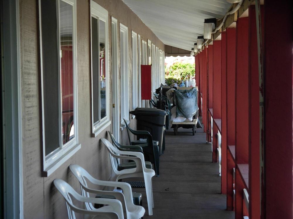 Jumping Frog Motel photo 90