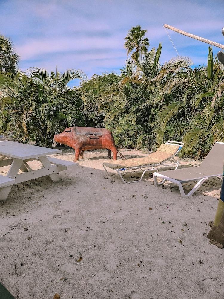 Oasis Palms photo 2