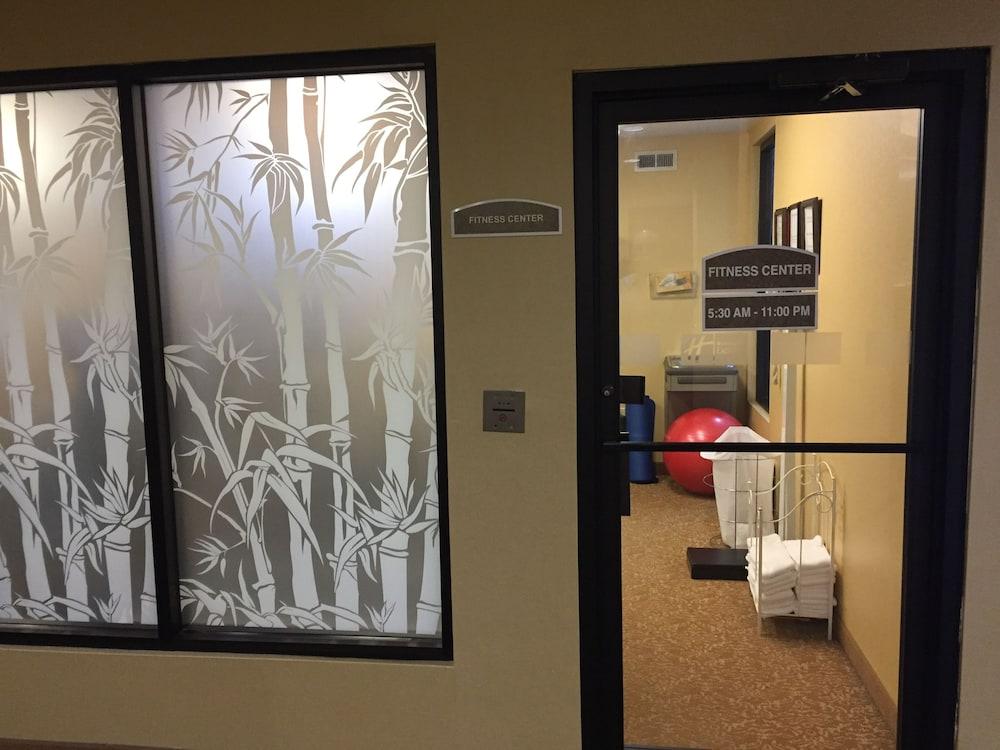 Holiday Inn Express & Suites St. Louis West - Fenton by IHG photo 49
