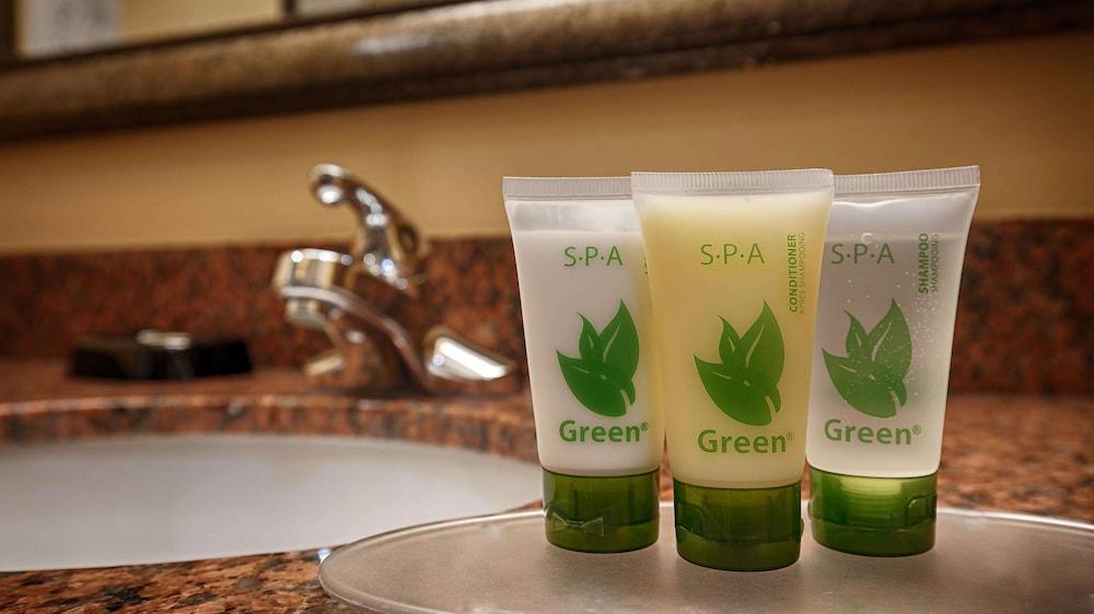 Best Western Plus Manvel Inn & Suites photo 10