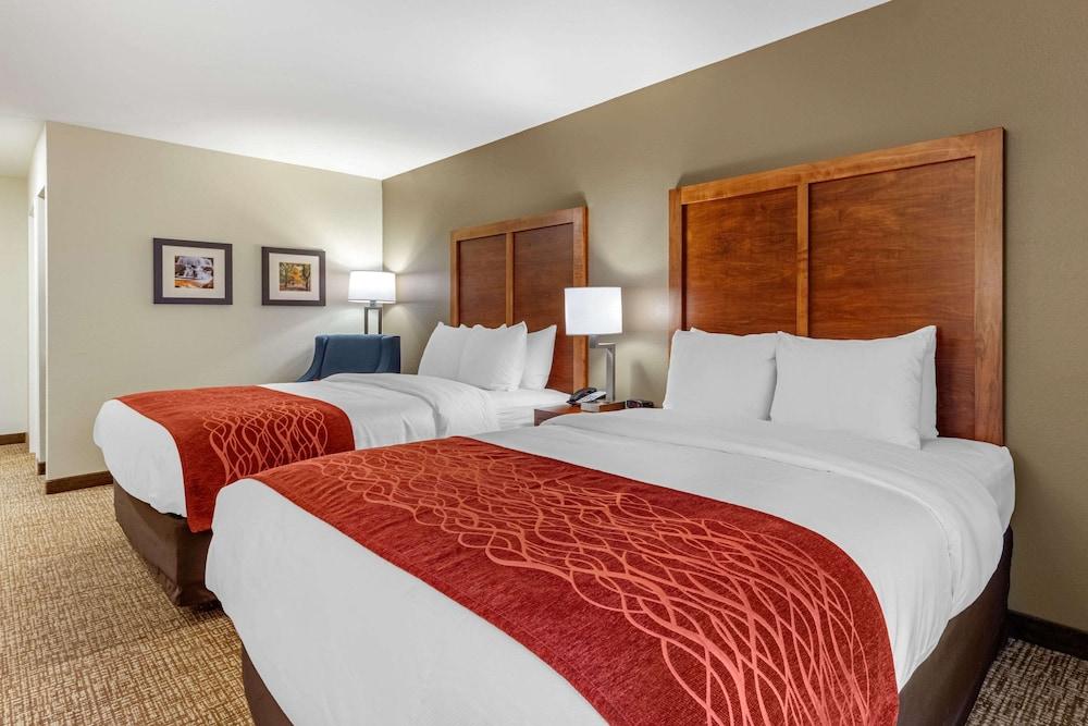 Comfort Inn White House photo 12