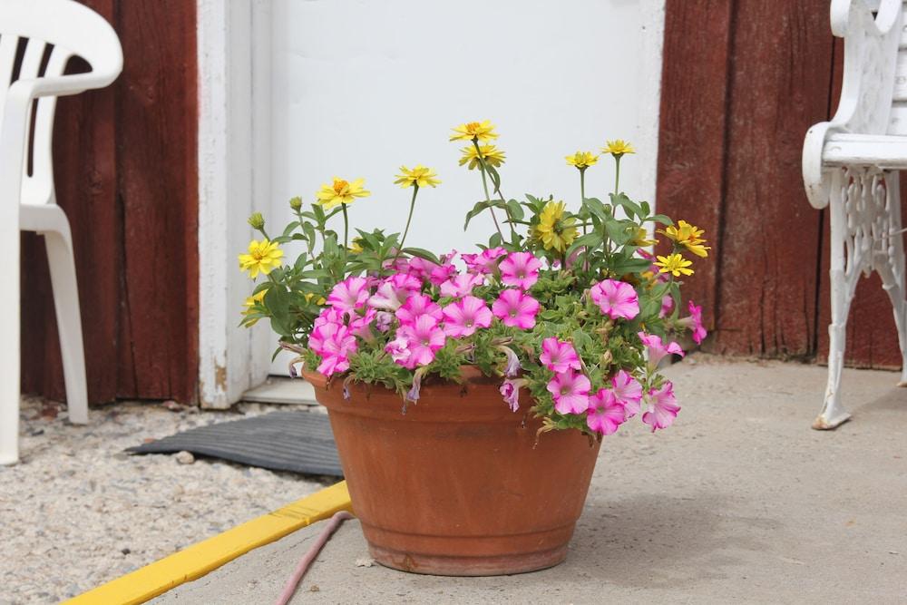 Black Bear Inn photo 41