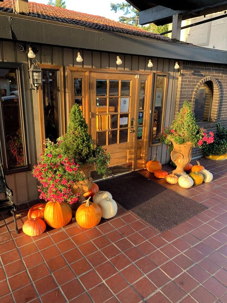 Coachman Inn & Suites photo 6