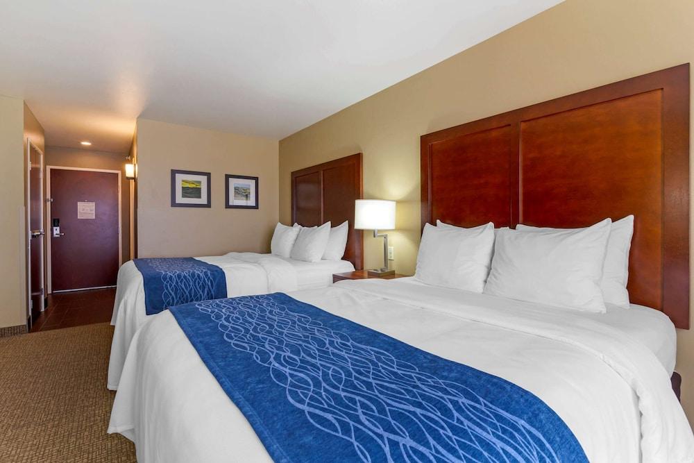Comfort Inn & Suites Mandan - Bismarck photo 13