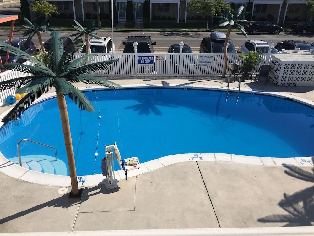 Dolphin Inn photo 14