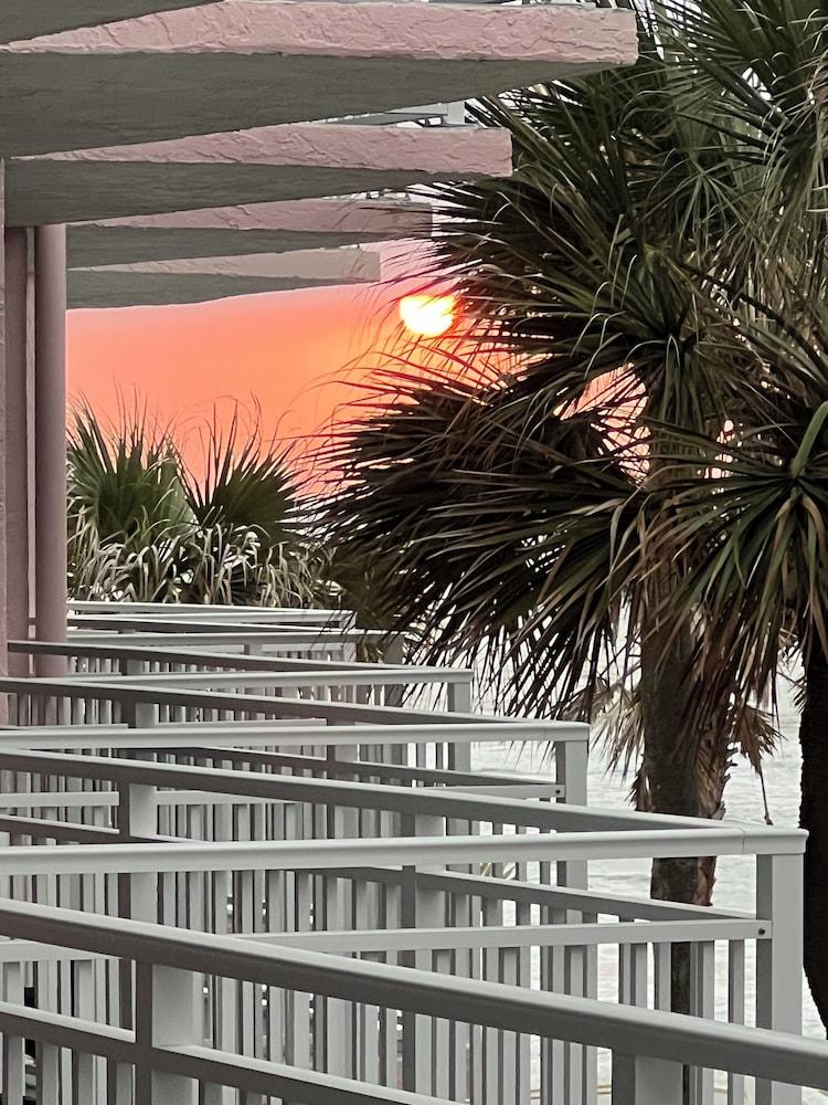 Flamingo Inn Beachfront photo 8