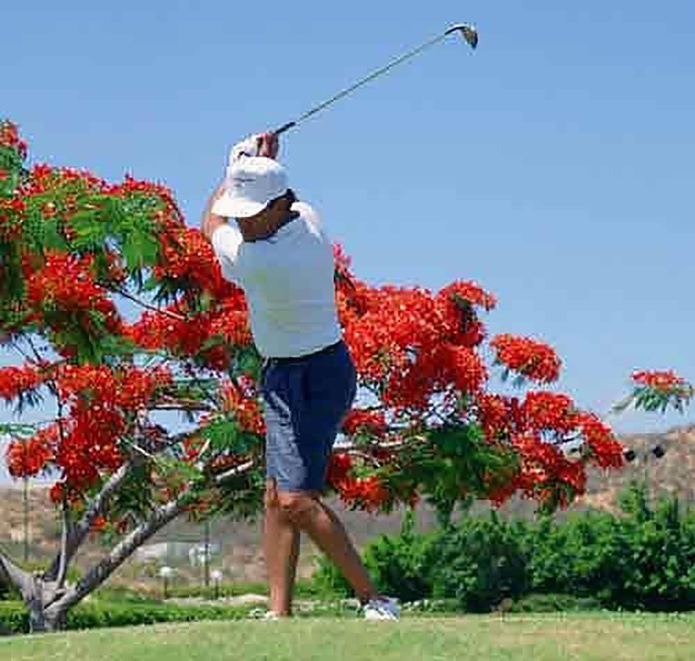 Raintree's Cimarron Golf Resort photo 28