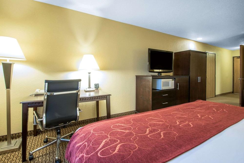 Comfort Suites Wisconsin Dells Area photo 24
