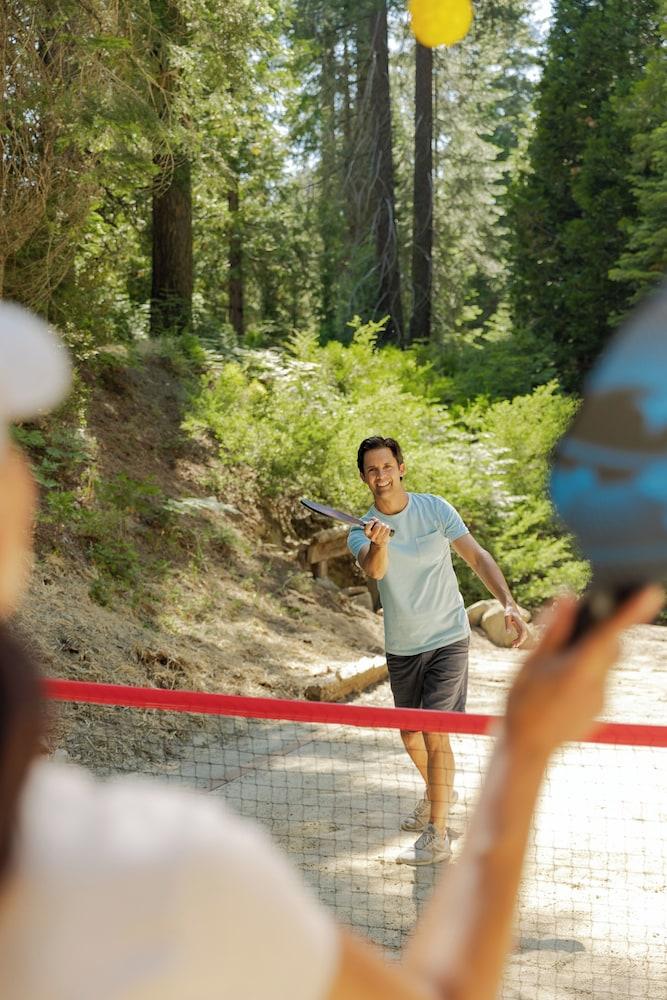Tenaya at Yosemite photo 99