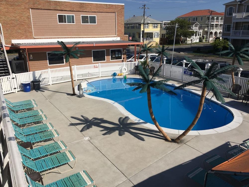 Dolphin Inn photo 25