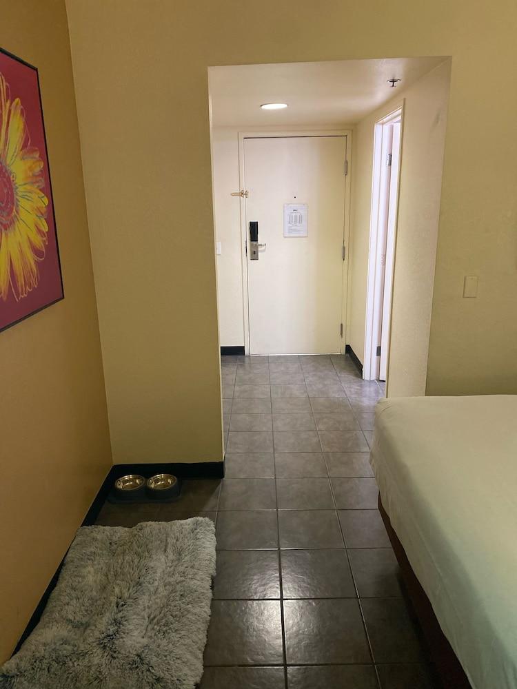 Hotel Jefe at Ojos Locos photo 45