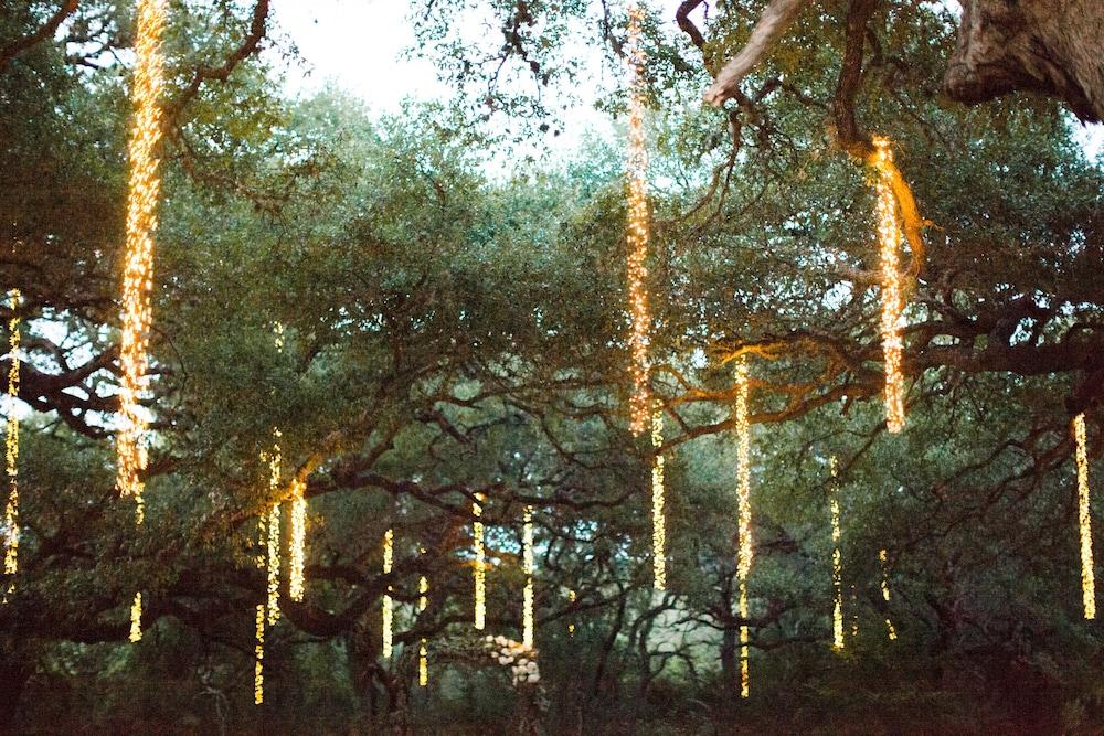 Camp Lucy photo 45