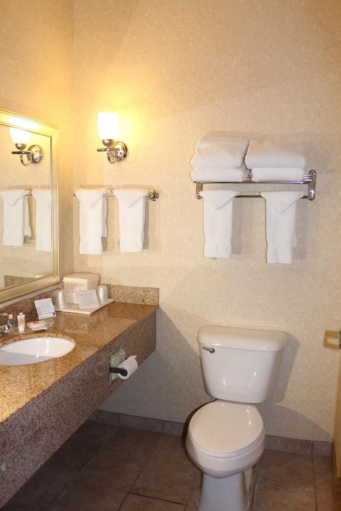 Comfort Suites Canton - Detroit photo 12