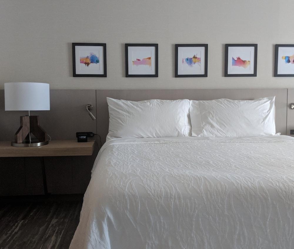 Hilton Garden Inn Chicago North Shore/Evanston photo 66