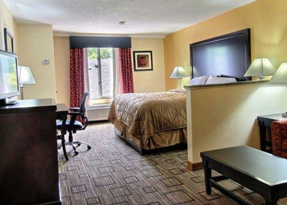 Quality Inn & Suites Greenville near downtown photo 9