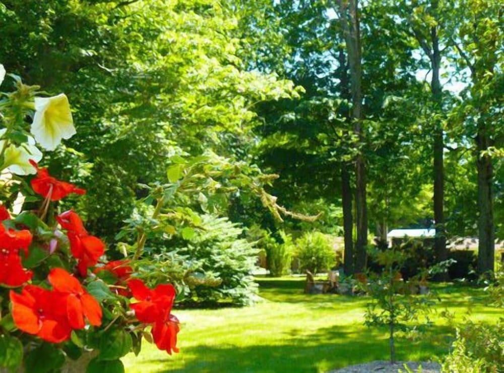 The Saugatuck Retro Resort Motel photo 11