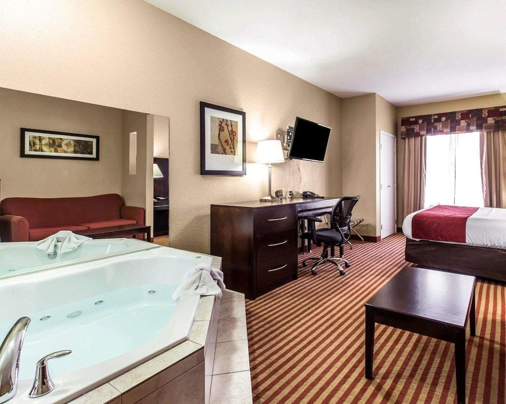 Comfort Suites Waycross photo 21