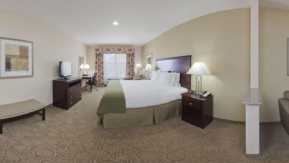 Holiday Inn Express Hotel & Suites Brownfield by IHG photo 6
