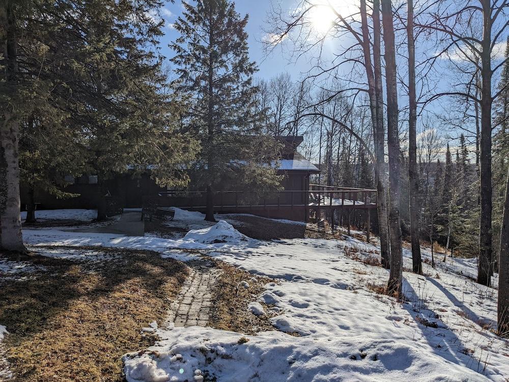 Rustic Woodland Lodge photo 12