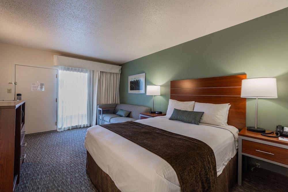 Best Western Buffalo Ridge Inn photo 19