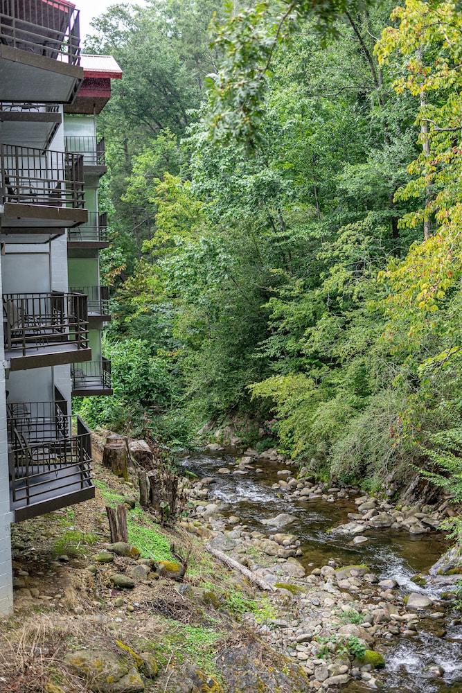 Bear Creek Inn photo 54