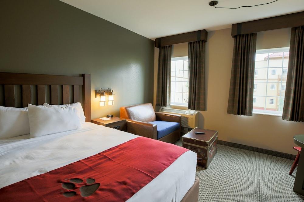 Great Wolf Lodge Illinois photo 13