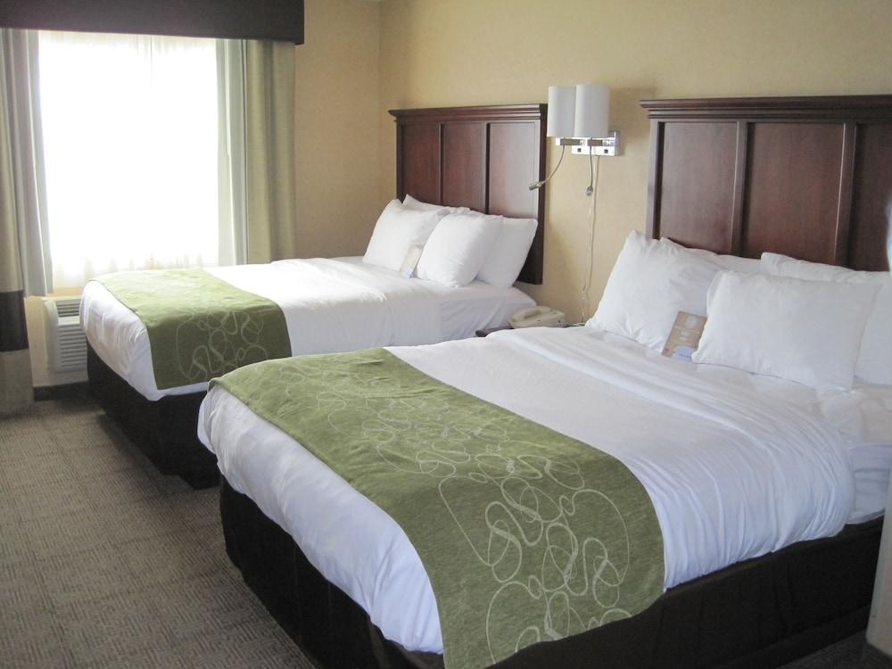 Comfort Suites Columbia - University Area photo 15