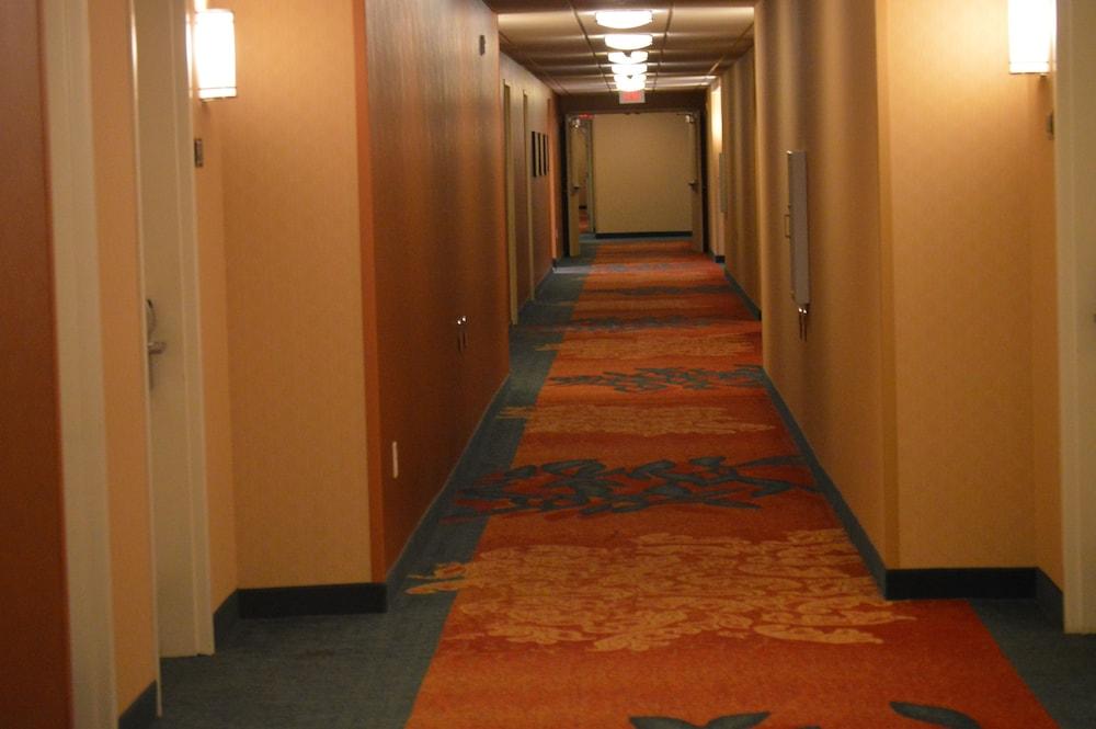 Residence Inn by Marriott Pittsburgh Monroeville/Wilkins photo 18