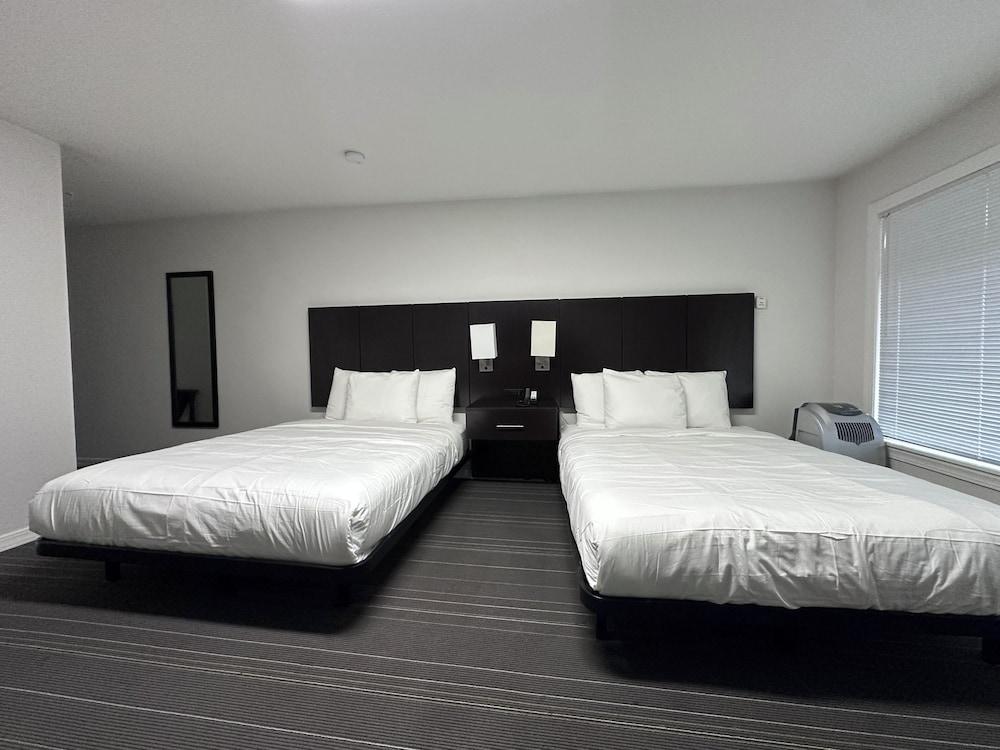 Hotel Da Vinci photo 5