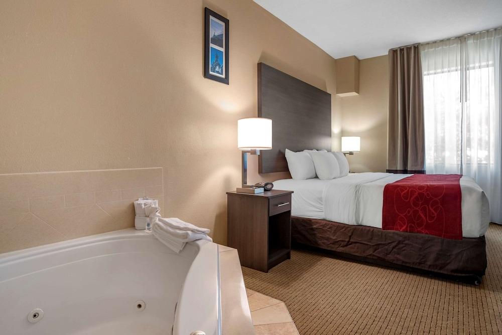 Comfort Suites Mobile photo 12