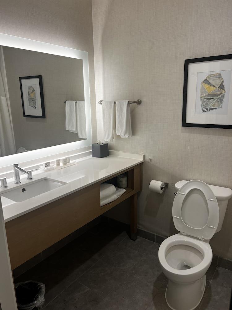 Holiday Inn & Suites Houston NW - Willowbrook by IHG photo 28