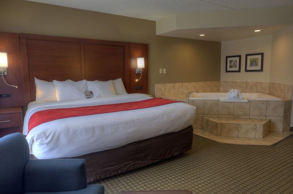 Comfort Inn & Suites Rochelle - DeKalb photo 3