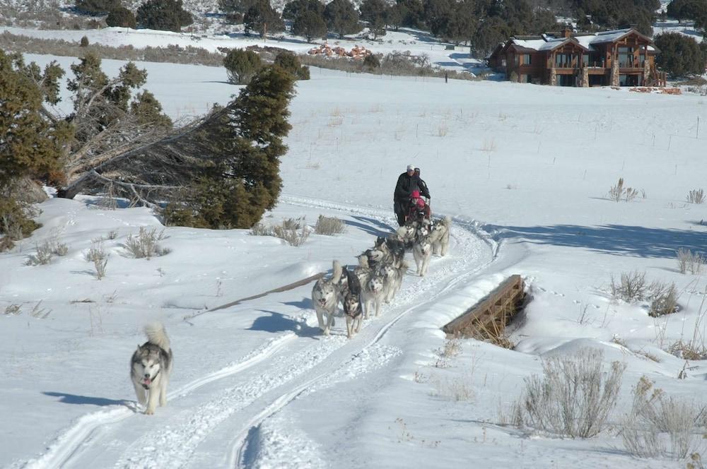 Hyatt Centric Park City photo 25