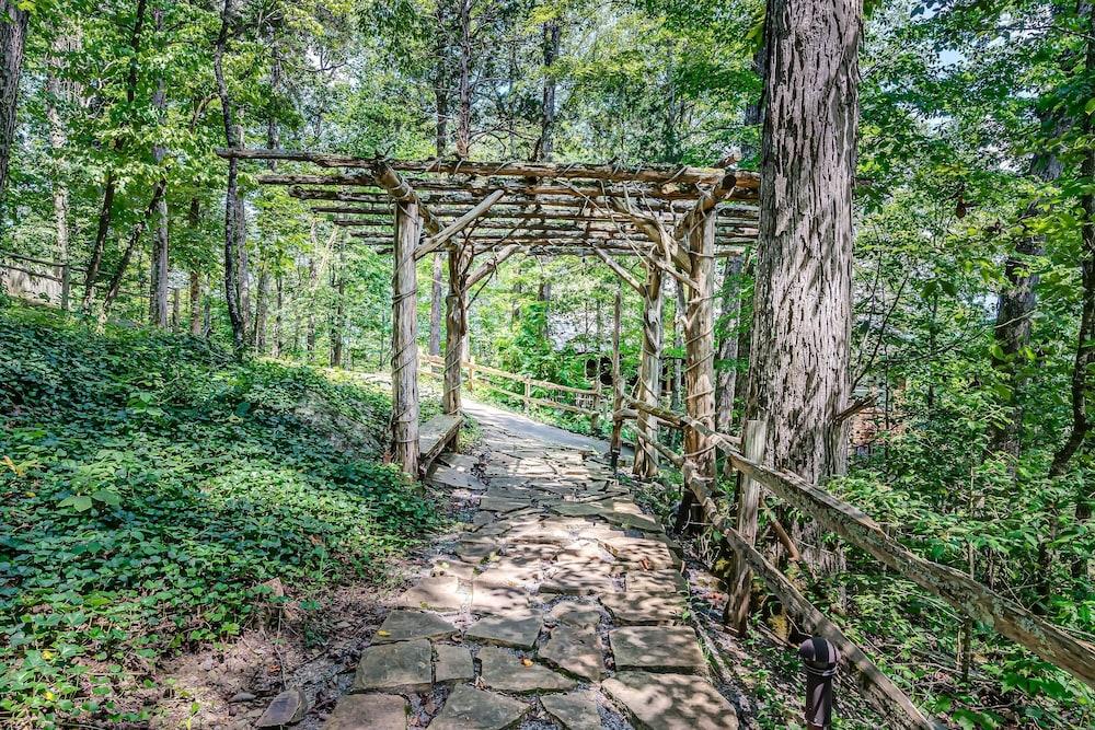 Laurel Valley Mountain Retreat photo 79