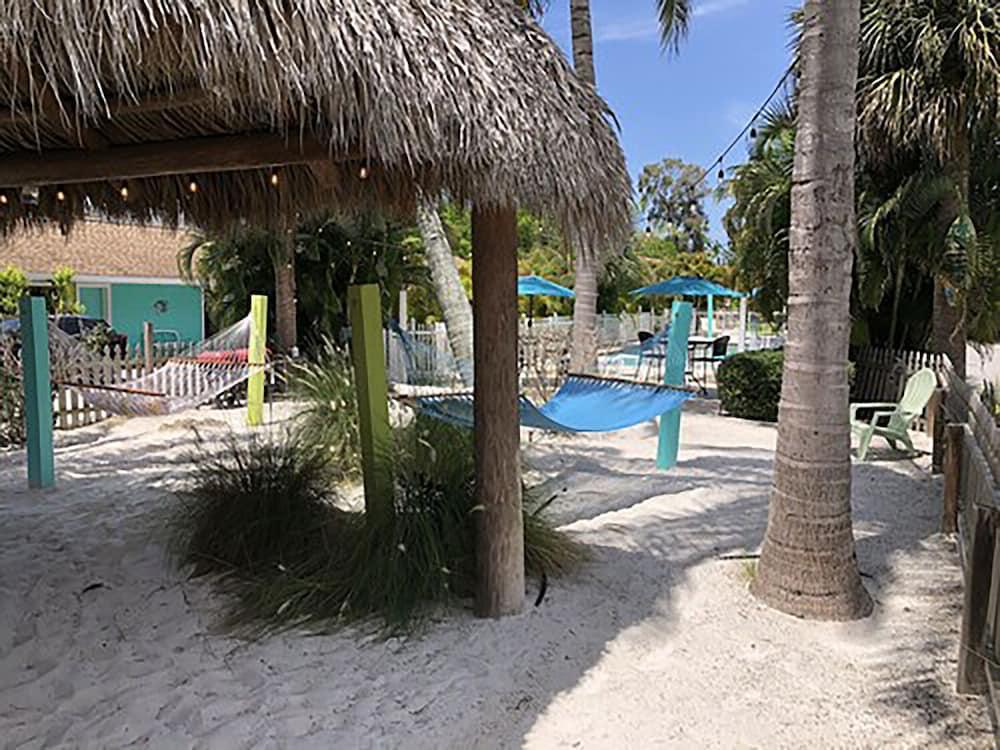 My Sarasota Getaway photo 10