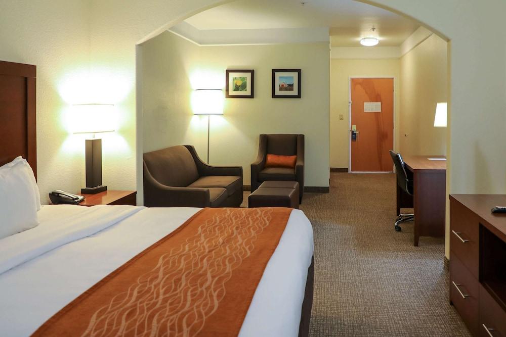 Comfort Inn & Suites, Odessa I-20 photo 17
