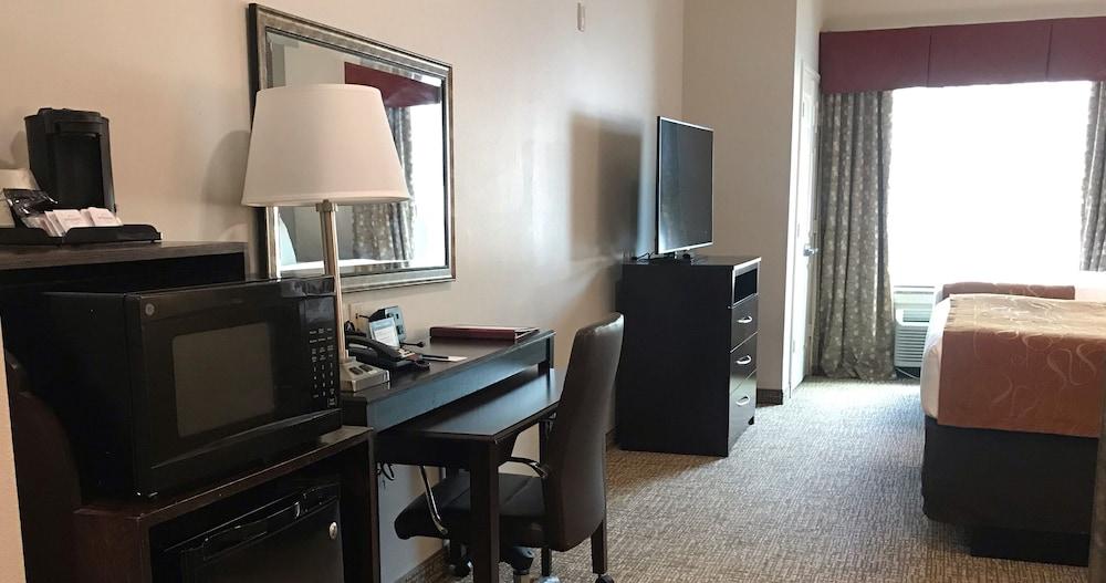Comfort Suites Bay City East photo 5