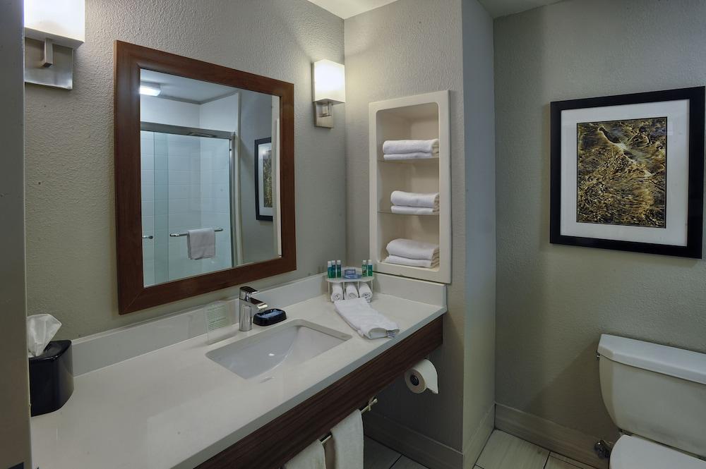 Holiday Inn Express Hotel & Suites Pell City by IHG photo 13