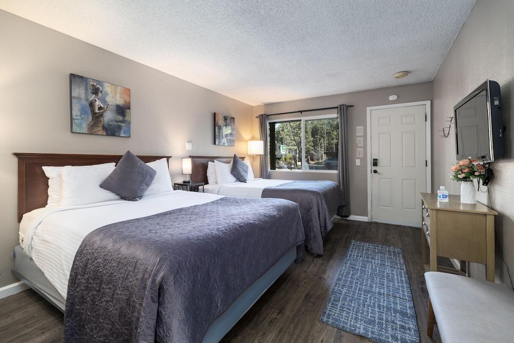 Alder Inn photo 42